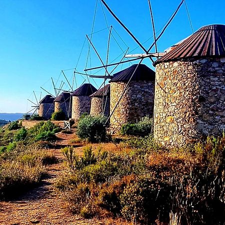 Quinta Do Cabril Διαμέρισμα Serpins Εξωτερικό φωτογραφία