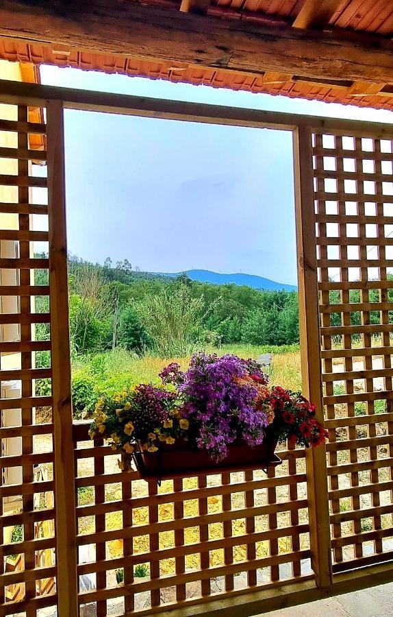 Quinta Do Cabril Διαμέρισμα Serpins Εξωτερικό φωτογραφία