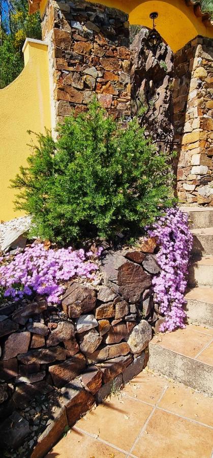 Quinta Do Cabril Διαμέρισμα Serpins Εξωτερικό φωτογραφία