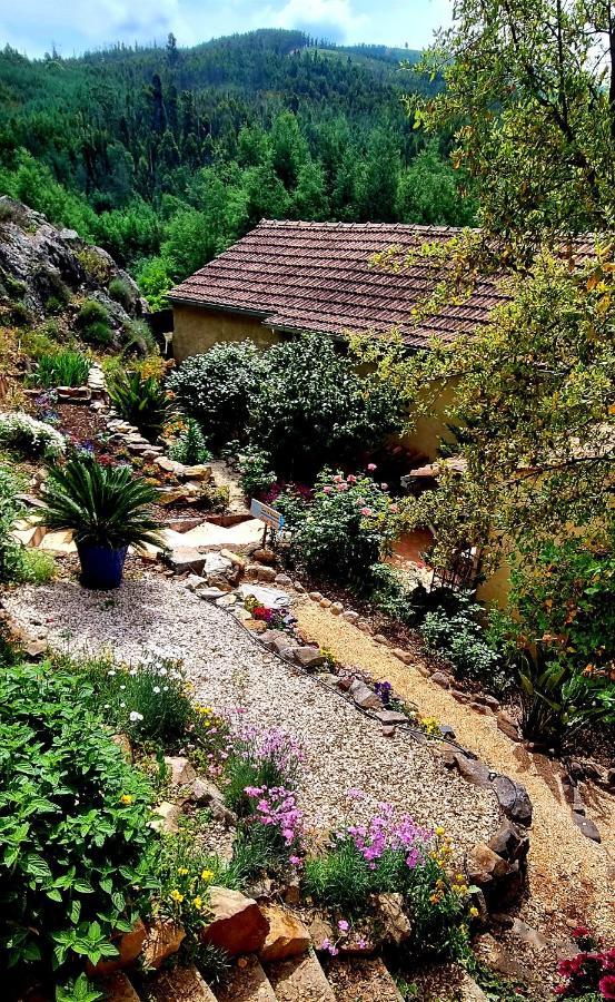 Quinta Do Cabril Διαμέρισμα Serpins Εξωτερικό φωτογραφία